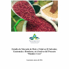 Estudio de mercado de maíz y frijol en El Salvador Guatemala y Honduras proyecto hambre cero 2016